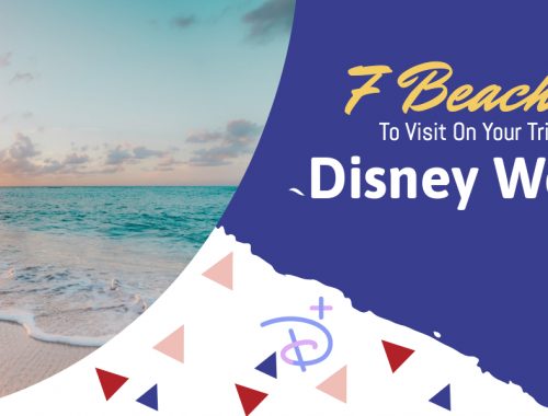 Best Beaches Near Disney World