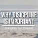 Why Is Discipline Important